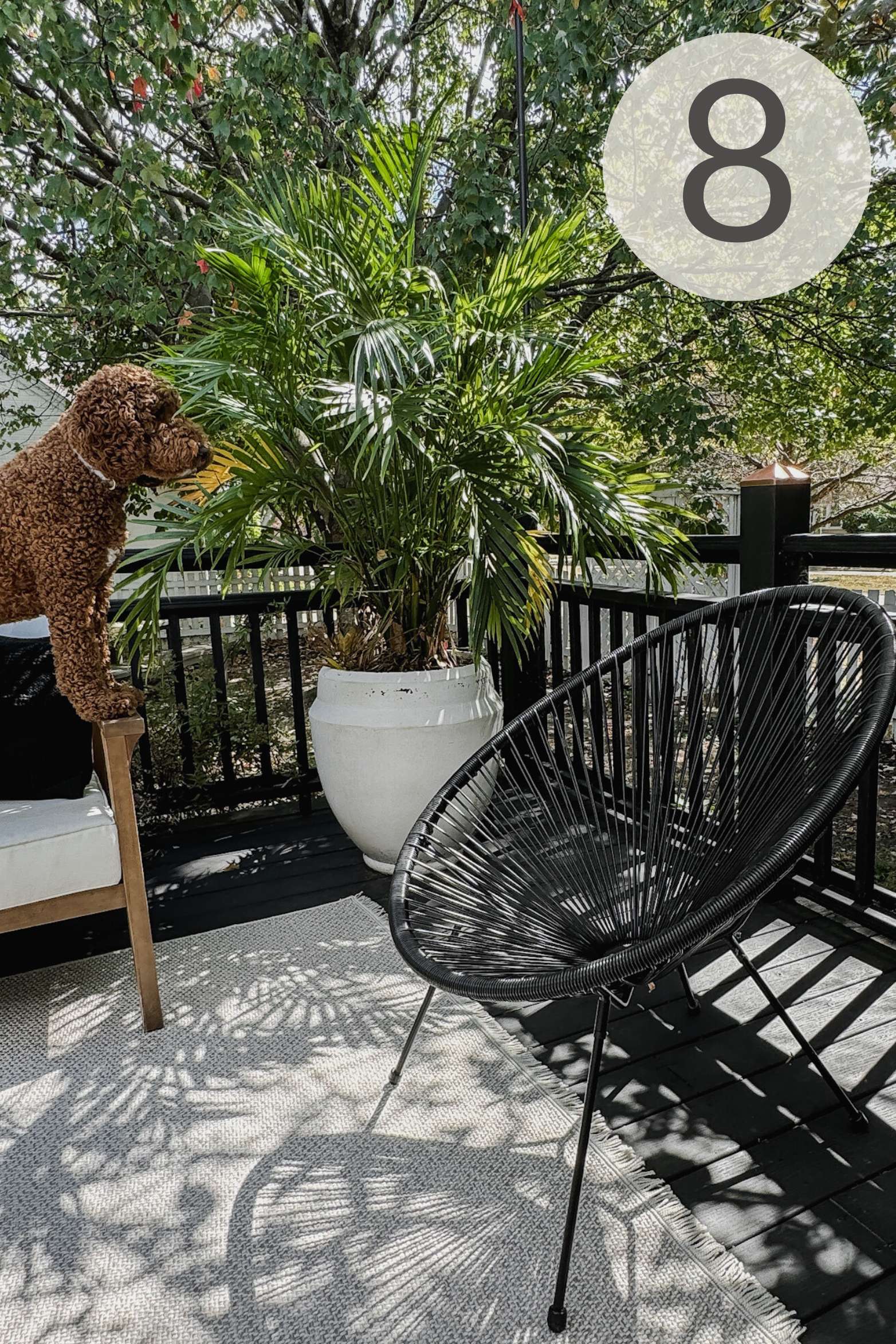 amazon home must have for summer